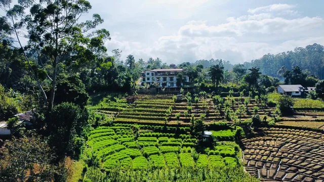 Wasala Village View Holiday Bungalow