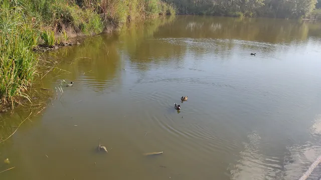 Parc Mediterrani de la Tecnologia