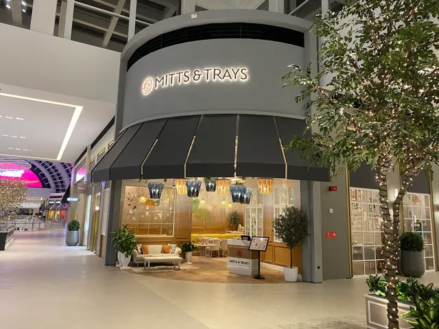 Mitts and Trays Dubai Hills