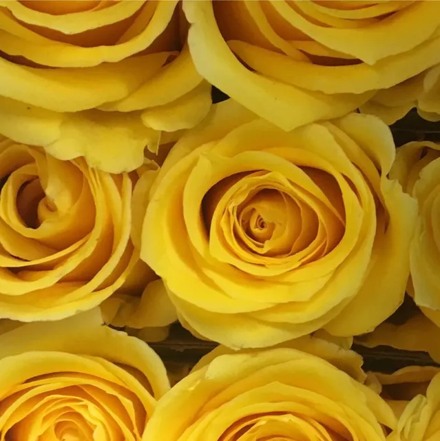 Yazoo Florist & Gifts