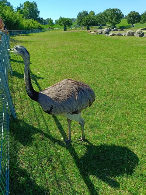 Mundenhof Tier-Natur-Erlebnispark
