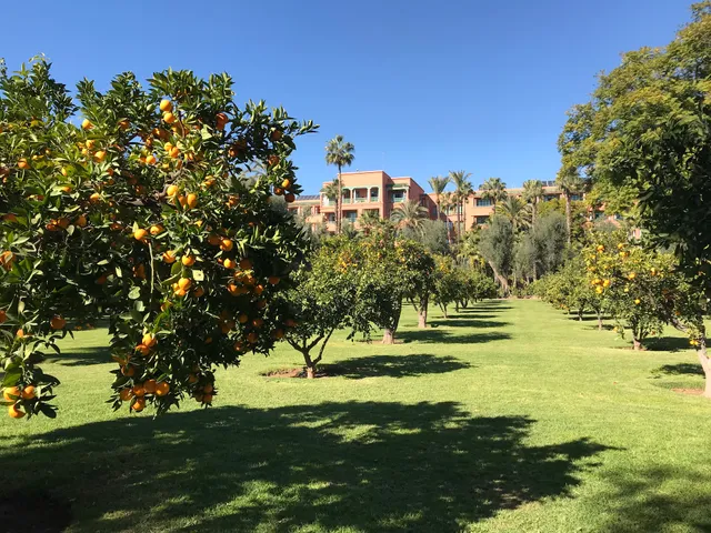 Le Bar de la Piscine
