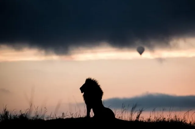 Oloolaimutia Gate Maasai Mara