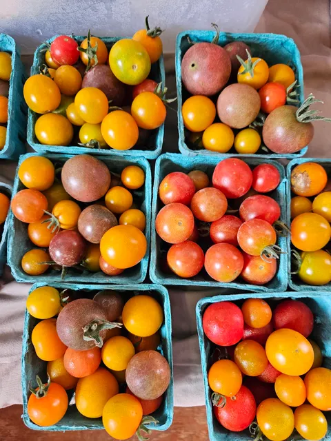 Shenandoah Seasonal Farm Store