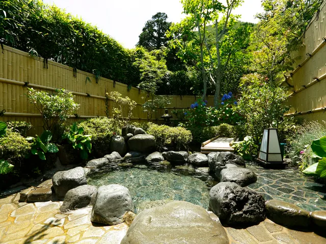 Hakone Ohiradai Hot Spring Style Botenryu Taro