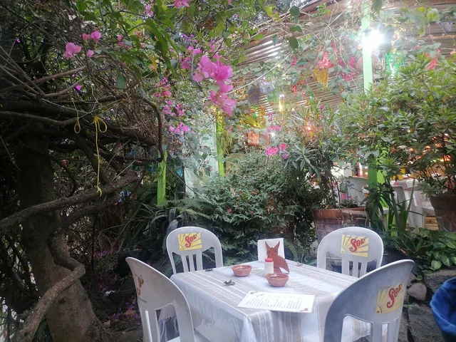 Pozoleria Flores / Salud Mezcal