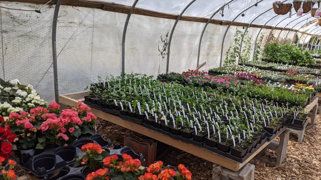 Maitland Mountain Farm