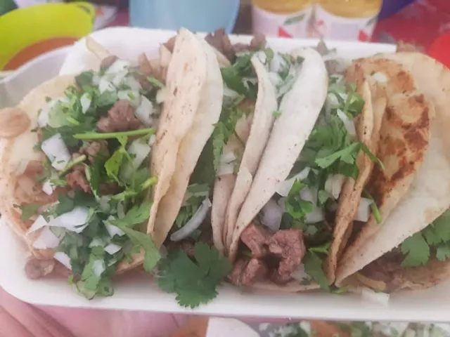 Lonchería el tavo Tacos Y Tortas