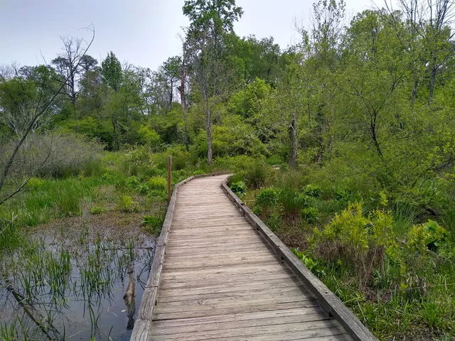 Mill Creek Nature Center