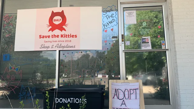 Save The Kitties