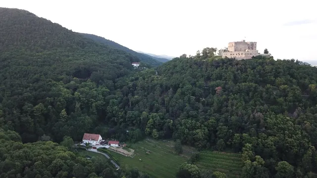 Ferienwohnungen Naturoase Quasthoff