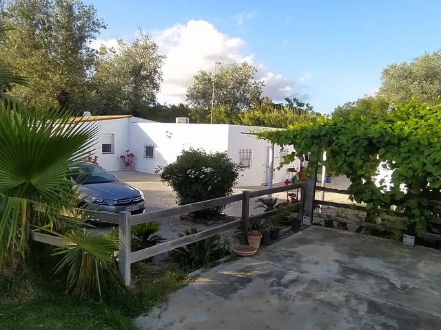 VEJER VIDA Y NATURALEZA