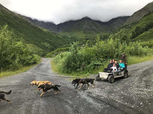 Girdwood Summer Sled Dog Adventure