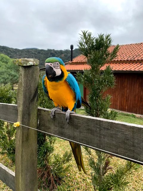 Estância Águas Brancas