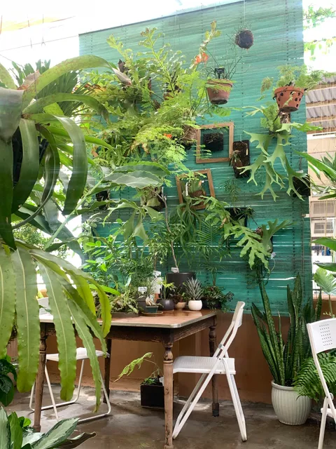 Xào Xạc cafe & plants