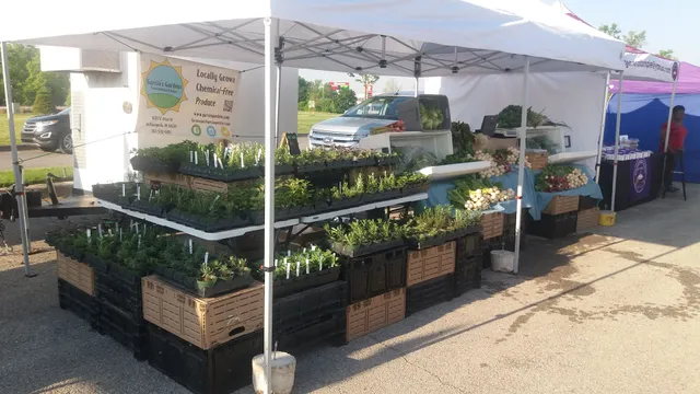 Binford Farmers Market