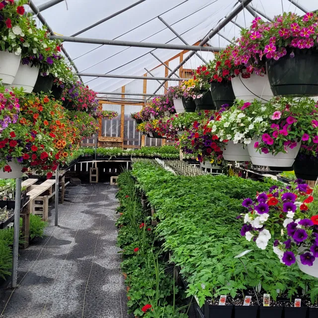 Gray's Plants & Produce