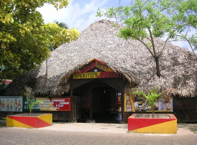 Tropical Dreams Hotel