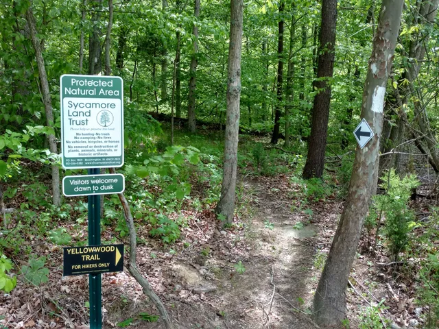 Trevlac Bluffs Nature Preserve - SR 45 Trailhead