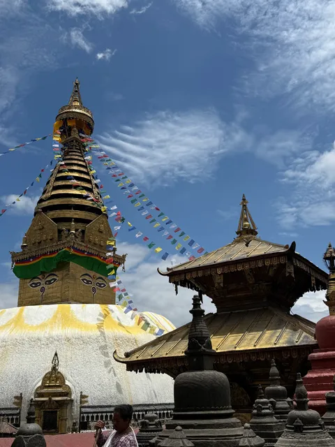 Trip Pokhara Pvt. Ltd.