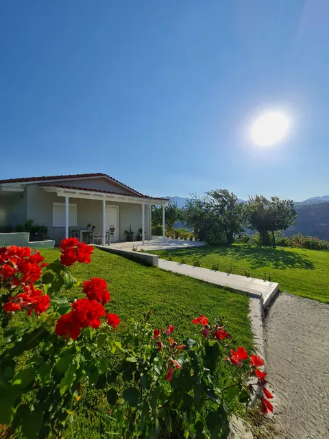 Ornament: Infinite Nature Villa