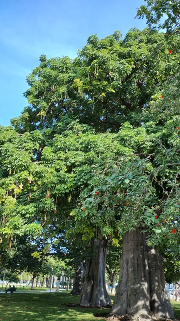 Miami Beach Parking Lot (P48)