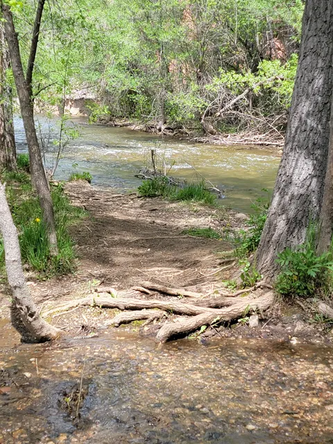 Braeburn Dog Park & Ice Rink