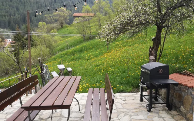 The Forest House Trigrad