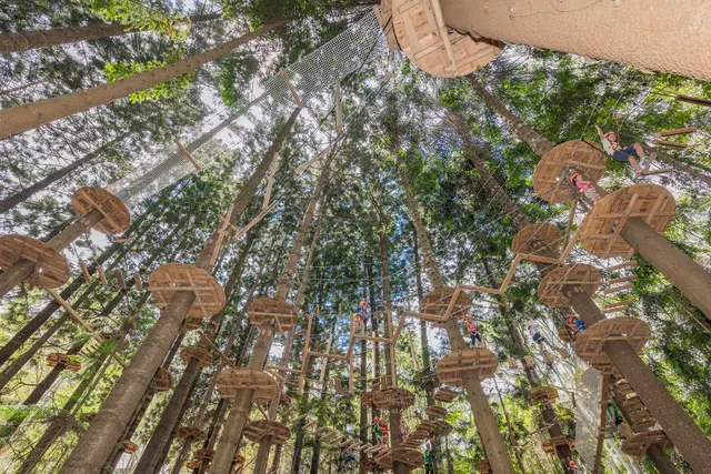 Treetops Adventure The Hills