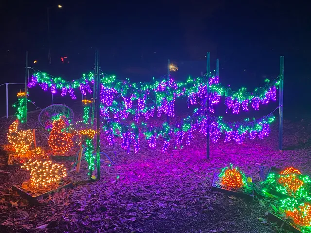 Garden d’Lights