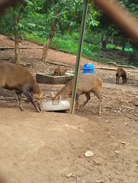 OYO THE FARMHOUSE INN