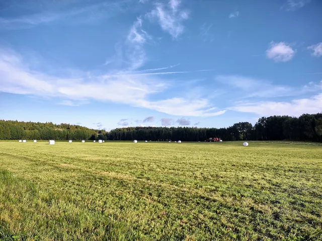 Viikinojanpuisto - Viksbäcksparken