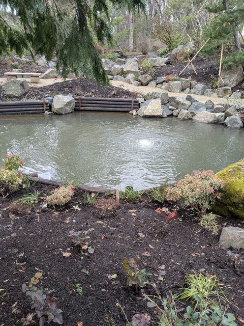 Dallas Japanese Garden