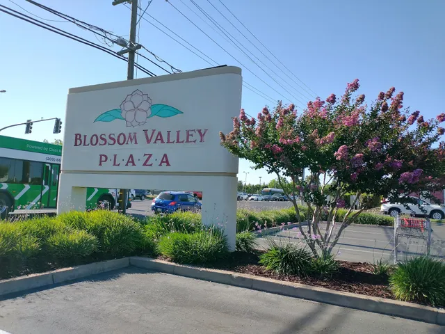 Blossom Valley Plaza