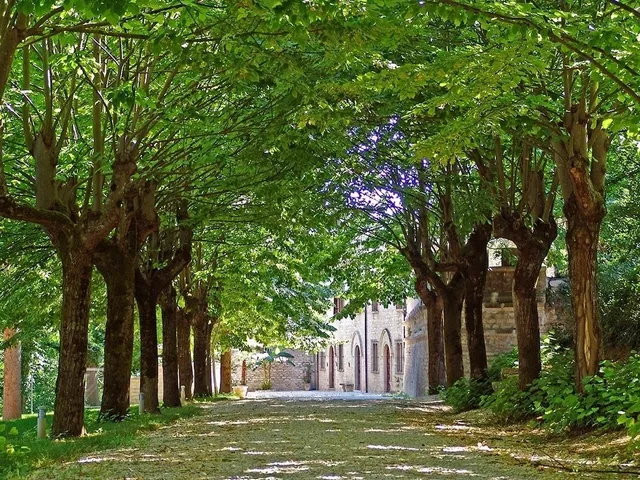 Villa Fontalba - Dimora Storica - Soggiorni Agriturismo