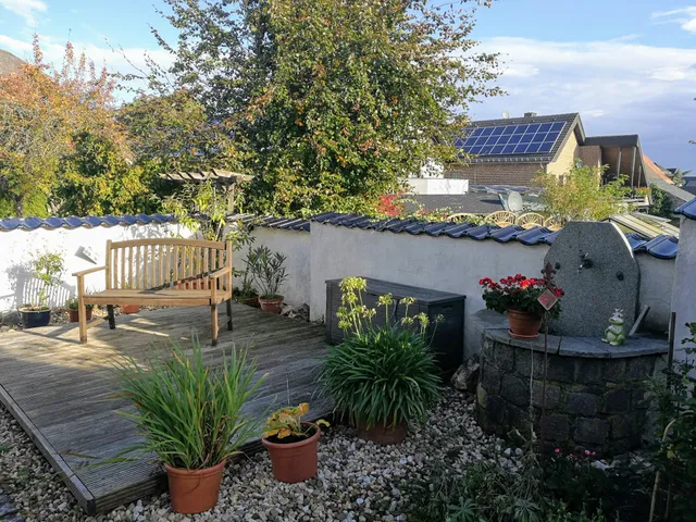 Freienhaus Ginsterblüte