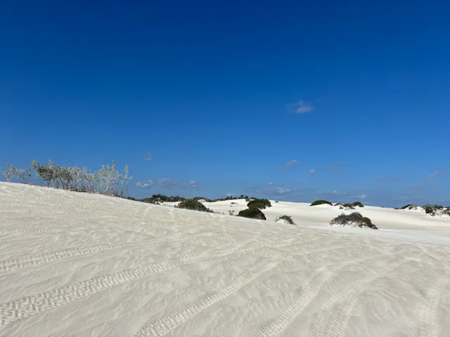 MrXtreme Thrill Rides