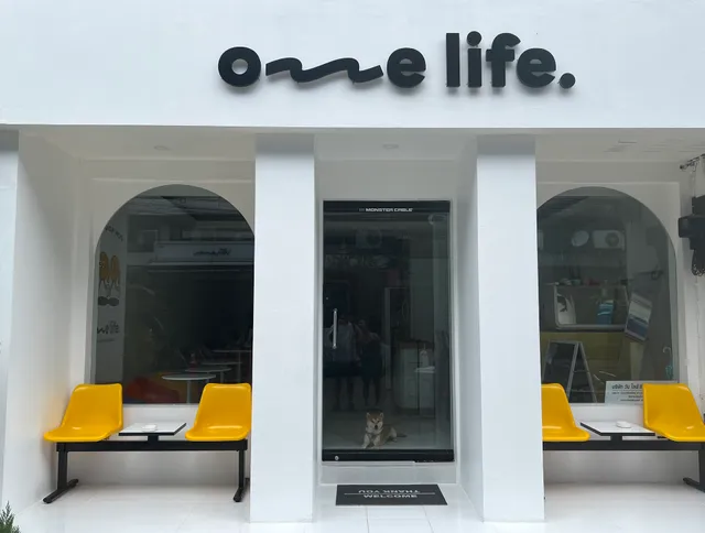One life Hostel