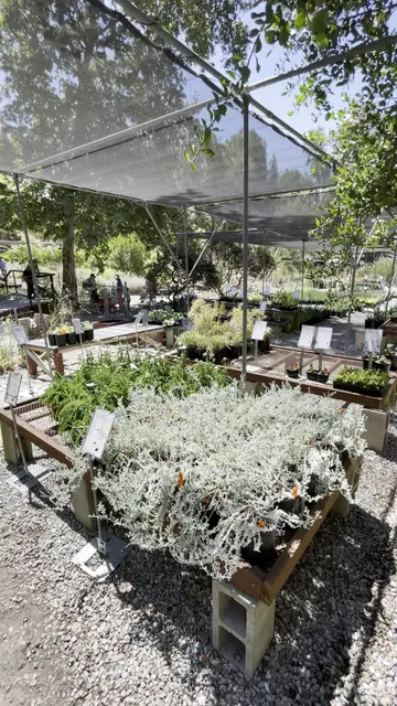 Theodore Payne Foundation