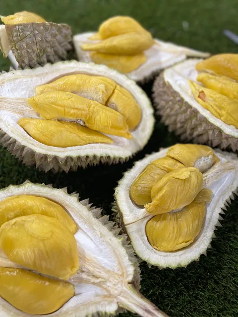 天天榴莲 EveryDay Durian Supply