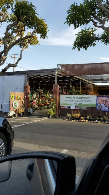 Alladin Nursery & Gift Shop