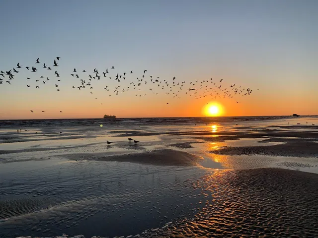 Tybee Beach Vacation Rentals