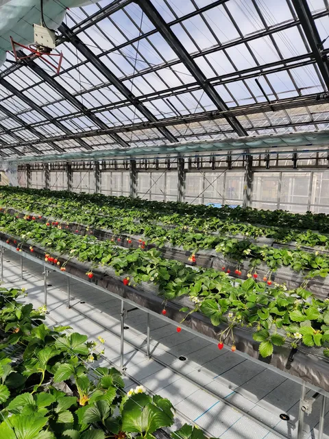 ふぁんふぁんふぁーむ