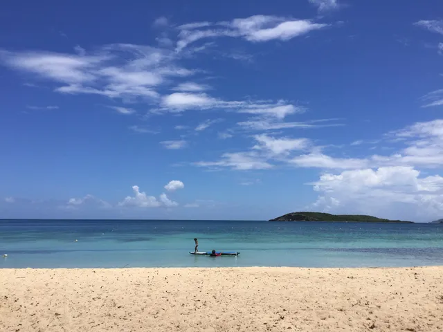 Abe's Snorkeling & Biobay Tours