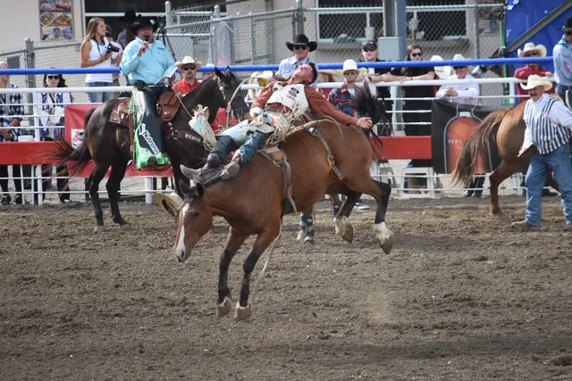 Cody Nite Rodeo & Cody Stampede Rodeo