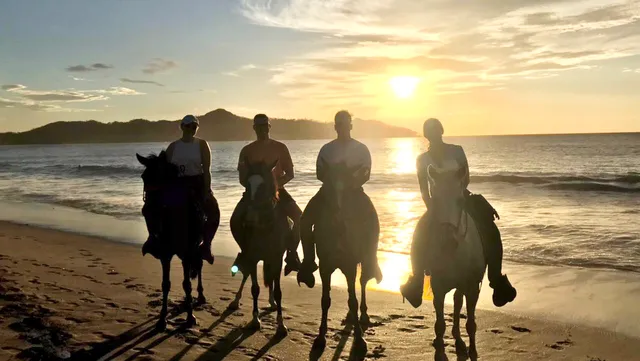 Horseback Riding Conchal , Pacific Horses