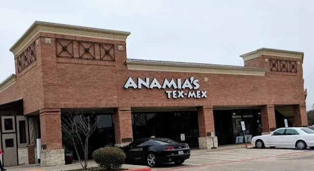 Anamia's Tex Mex