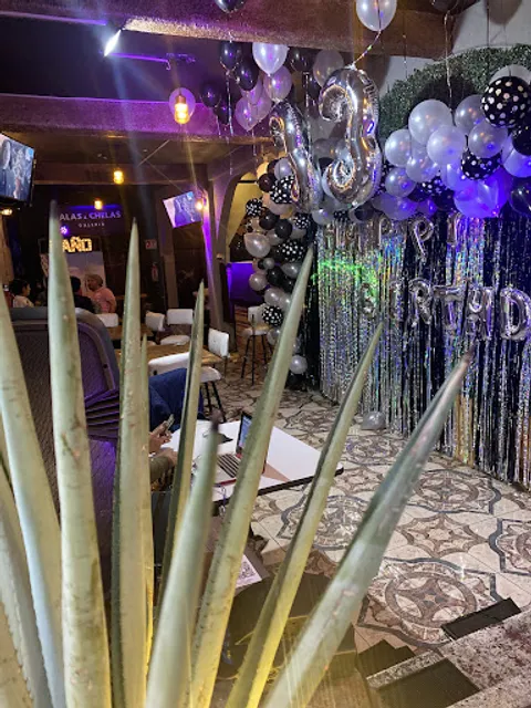 Alas & Chelas Galeria