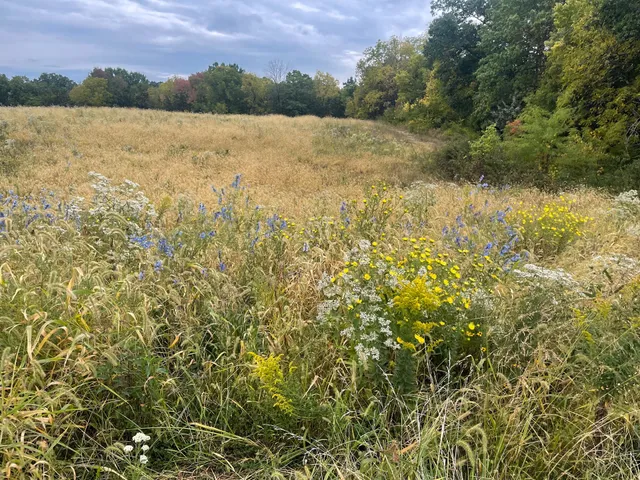 Bonnie View Nature Sanctuary