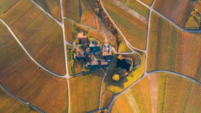 Weingut Diehl Winery